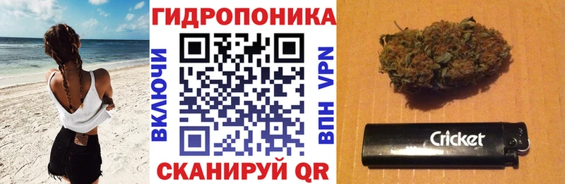 наркотики  маркетплейс клад  Бошки марихуана конопля  Алексин 